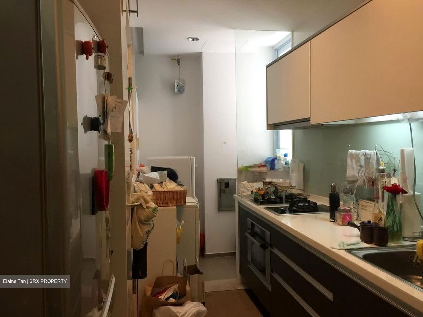 One Jervois (D10), Condominium #608653801